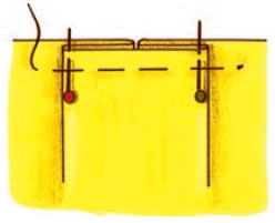 پیلی ناودونی