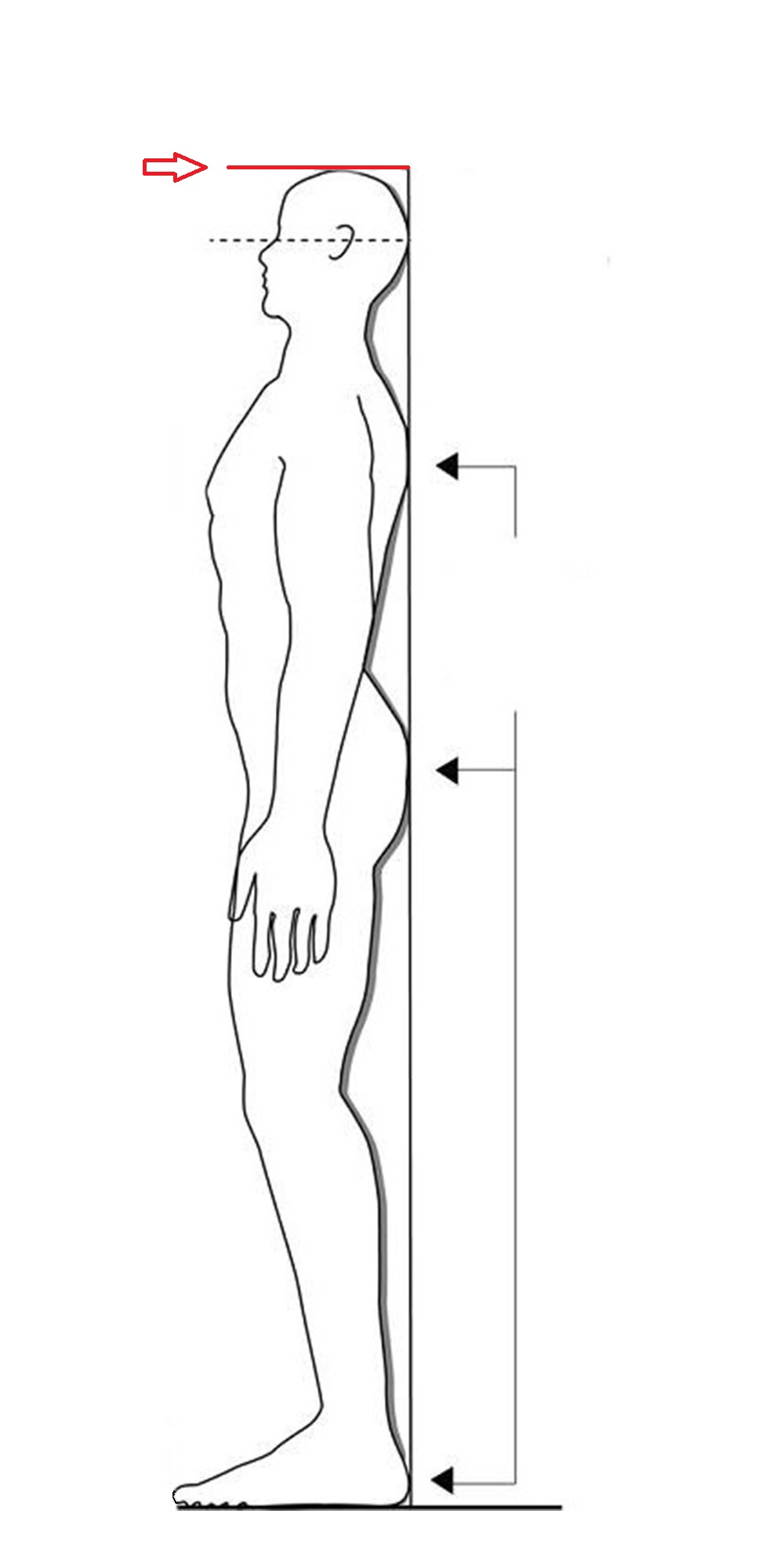 گرفتن اندازه قد